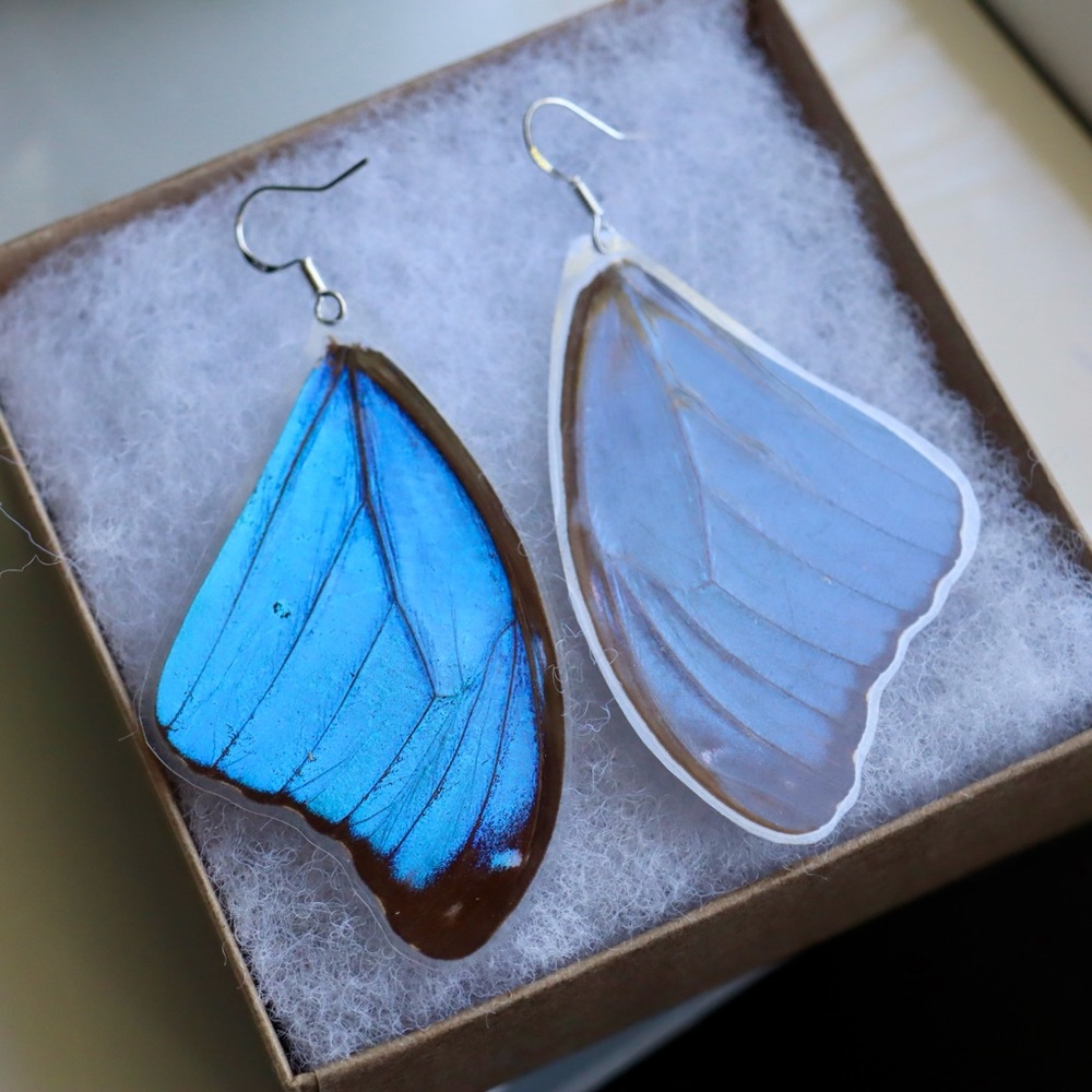 Real butterfly wings earrings